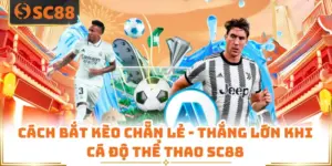 Cách Bắt Kèo Chẵn Lẻ - Thắng Lớn Khi Cá Độ Thể Thao SC88