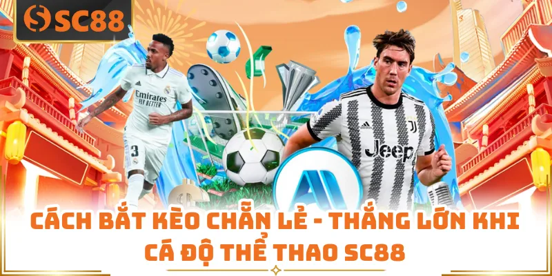 Cách Bắt Kèo Chẵn Lẻ - Thắng Lớn Khi Cá Độ Thể Thao SC88